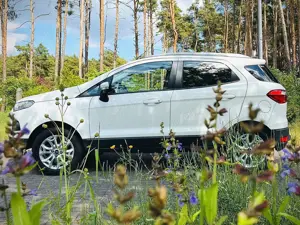 Ford EcoSport 1.0 EcoBoost TREND