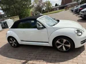 Volkswagen Beetle The Cabriolet 1.2 TSI DSG club