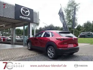 Mazda CX-30 Exclusive 140 360°|Navi|Bose Bild 5