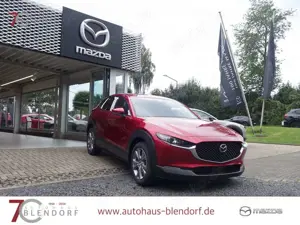Mazda CX-30 Exclusive 140 360°|Navi|Bose Bild 3