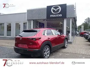 Mazda CX-30 Exclusive 140 360°|Navi|Bose Bild 4