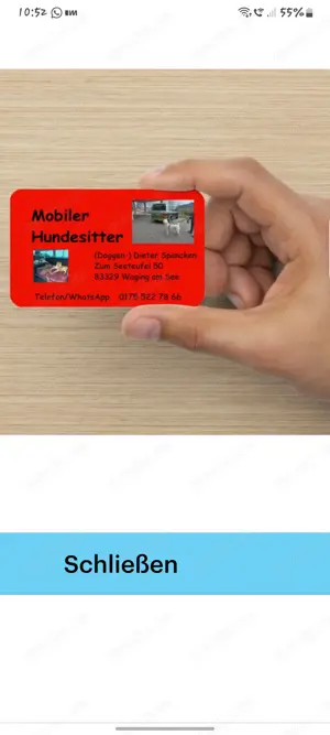 Mobiler Hundesitter Grossraum Traunstein  Bild 5