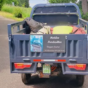Mobiler Hundesitter Grossraum Traunstein  Bild 7