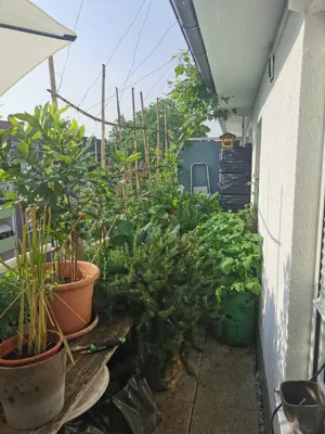 Traumhafte Wohnung in Ludwigshafen Süd mit "Balkon-Garten" Bild 9