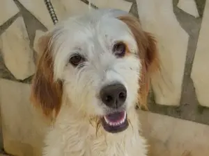 GUSTAV sucht seine Lieblingsmenschen