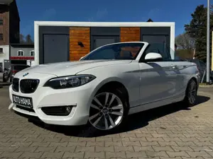 BMW 218 i Cabrio *NAVI*SHZ*LEDER*PDC*ALPIN*GEPFLEGT*