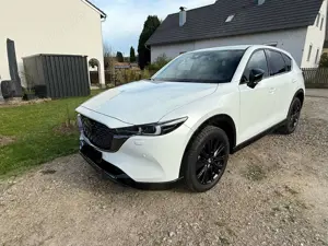 Mazda CX-5 SKYACTIV-D 184 SCR AWD Aut. Homura Matrix Navi