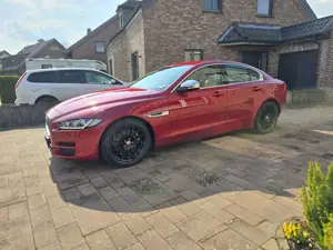 Jaguar XE E-Performance Aut. Portfolio