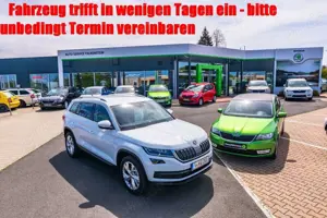Skoda Karoq Ambition TSI 115PS DSG Sitzhg/Tel/LED/TOP