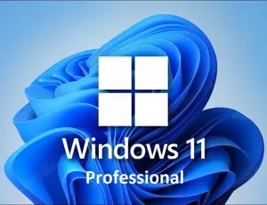 Windows 11 Professional Retail ( 1 PC ) Key - Sofort Email Versand- Kein Abo - Download Link Bild 2