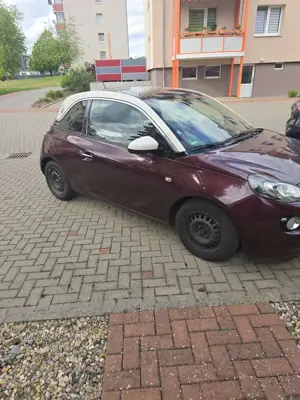 Opel Adam 1.4 Glam Bild 3