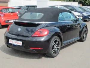 Volkswagen Beetle Bild 5