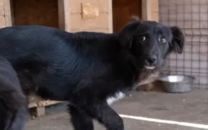 Darja sehnt sich nacht Zuwendung!