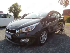 Kia Ceed / cee'd Edition 7 1.Hd.!!Klimaaut.!!SR+WR!!TOP Bild 3