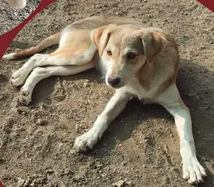 Huhu! Hier kommt die bezaubernde Mila!