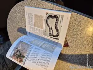 Bücher Tigerphyton Netzphyton  Bild 6