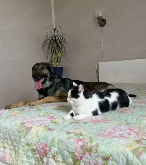 Wer hat ein herz für Rudy?! Bild 8