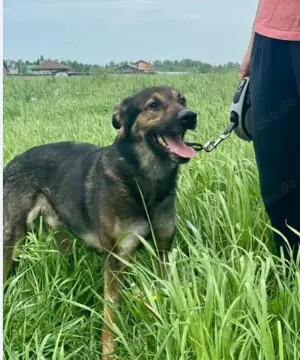 Wer hat ein herz für Rudy?! Bild 5