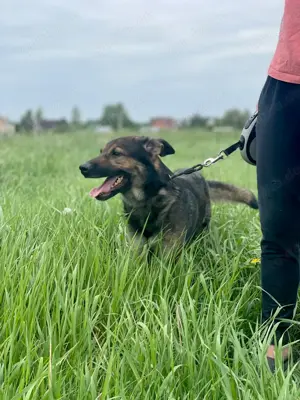 Wer hat ein herz für Rudy?! Bild 7