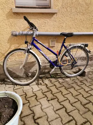 Trail Fahrrad abzugeben 28 zoll