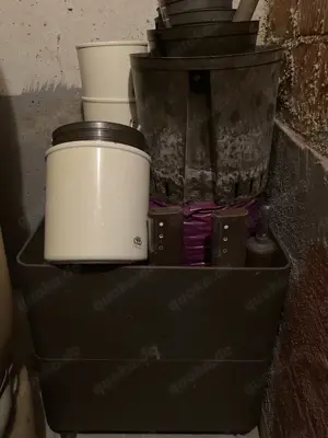 Hydrokultur, Behälter und Blähton Bild 3