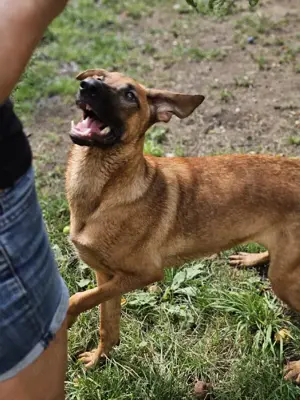 Dido - jung und sportlich Bild 6