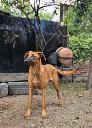 Dido - jung und sportlich Bild 8