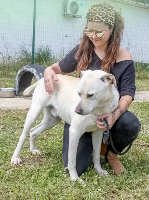 Lucas, ein temperamentvoller Bursche! Bild 4