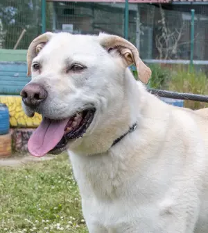 Lucas, ein temperamentvoller Bursche!