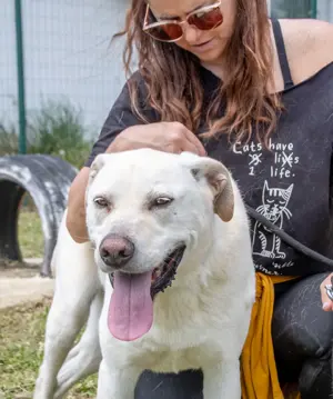 Lucas, ein temperamentvoller Bursche! Bild 9