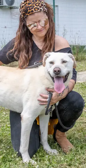 Lucas, ein temperamentvoller Bursche! Bild 5