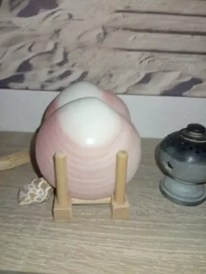 Wellnessmassage mit dem gewissen Extra für die Damen 