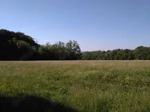 Landwirtschaft in West-Ungarn Bild 5