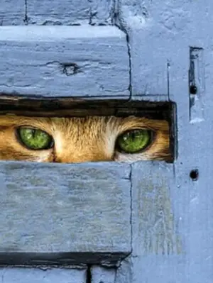 Biete : Hobbyraum Werkstattbeteiligung Gemeinschaft in Schöneberg