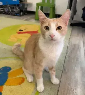 Halloooo,  wir suchen Dich! Ja, Dich  ..