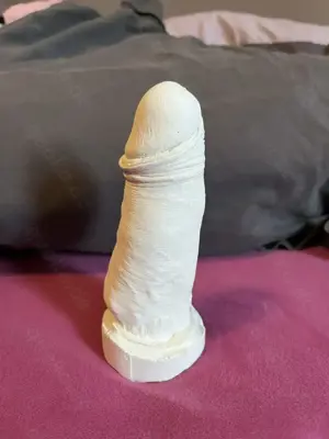 Penis Gipsabdruck zu verschenken Bild 3