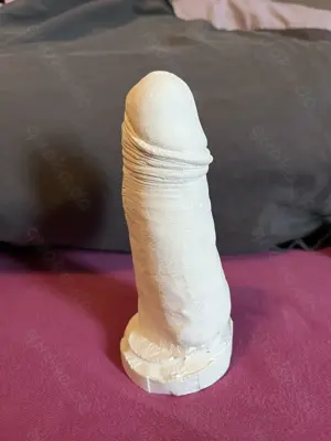 Penis Gipsabdruck zu verschenken Bild 2
