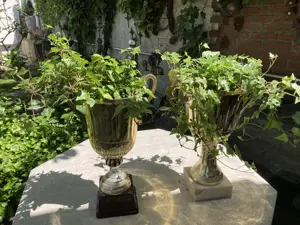 DEKO für den vintage Garten    oder Hochzeitsdeko  - 2 x Amphore   Blumentopf + 2 x Efeu Bild 2
