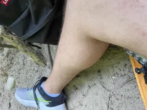 Alt oder jung ich lecke dich 
