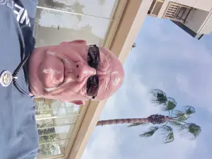 Hallo an die Frauenweld 
