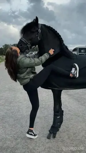 Wir suchen ein liebevolles Zuhause für unseren Sam.