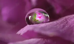 Er sucht Sie für .....Bitte alles lesen liebe Dame.