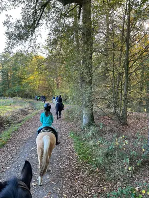 Reiterferien für Kinder und Jugendliche in Münster