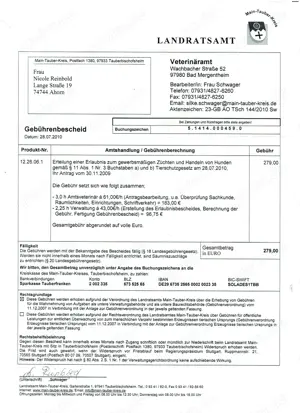 2 bezaubernde Mini Aussiewelpen, aus serioser Zucht!