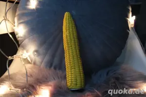 Maiscolben Dildo