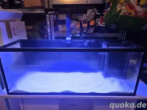 Meerwasser Aquarium, Meerwasseraquarium 