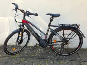 E-Bike BULLS Lacuba Evo E8