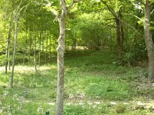 Großes Freizeitgrundstück zu verkaufen