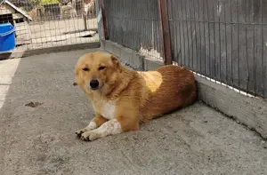 Die süße kleine Emma sucht ihr Zuhause Bild 3