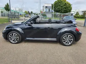 Volkswagen Beetle Cabriolet 1.4 TSI Sound - DSG/Navi/Alarm/WR/2.Hand Bild 5